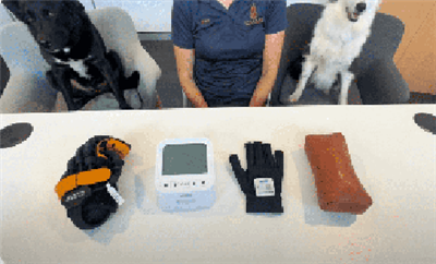 The Step-by-step Training for Syrebo E12 Glove (From Level 1 to 3)